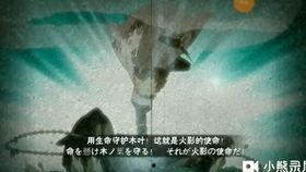 水门最新爆料事件视频,揭秘最新爆料视频背后的惊人真相